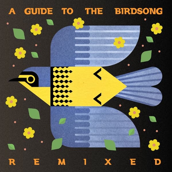 Various Artists - A Guide To The Birdsong Remixed (2 LP)
